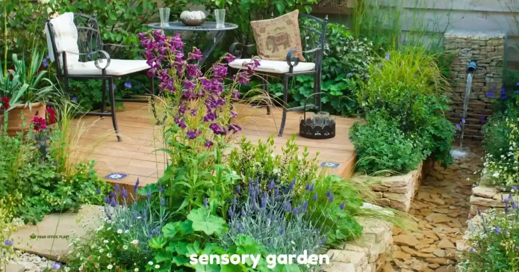 Sensory Garden Design: A Complete Guide to Creating a Multi-Sensory Outdoor Space 4 sensory garden ideas , DIY sensory garden design