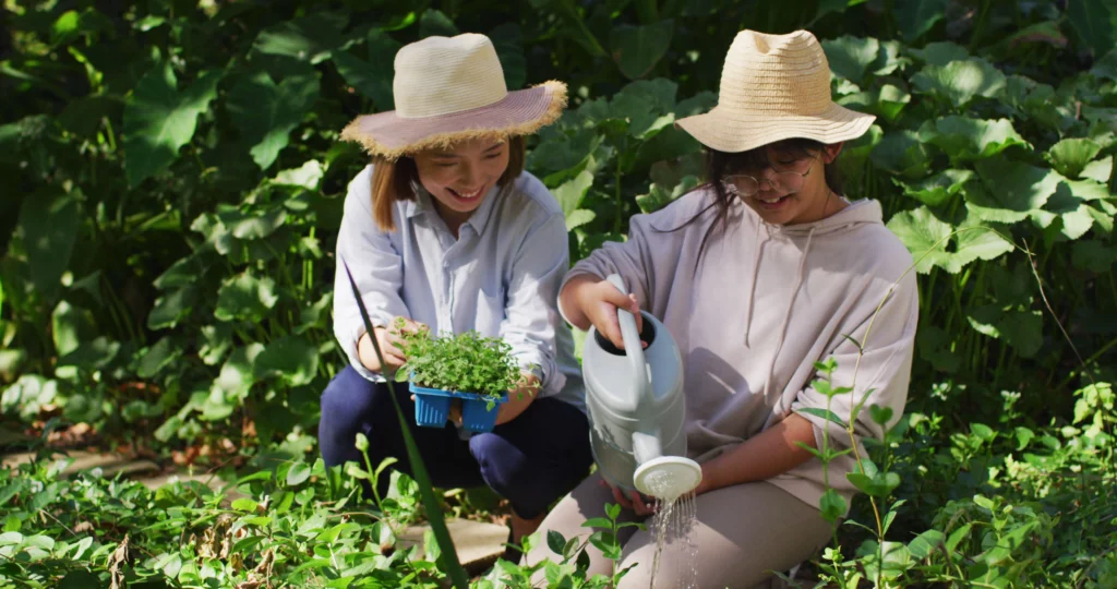 Sustainable Gardening