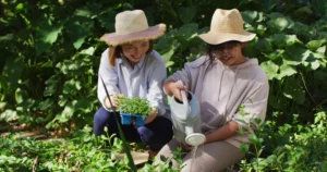 Sustainable Gardening