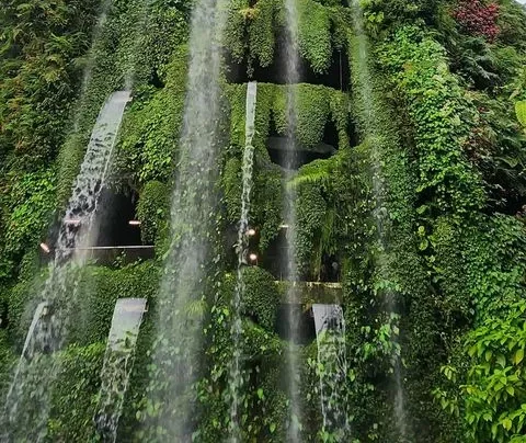 Green Wall , Living Wall , wall garden