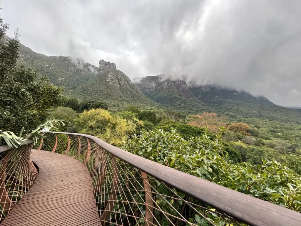 Kirstenbosch National Botanical Garden 