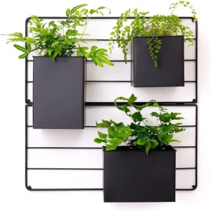 Wall-Mounted Planters , wall Gardening