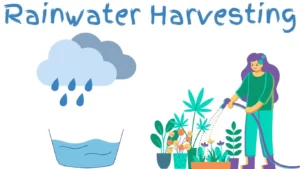 Rainwater Harvesting