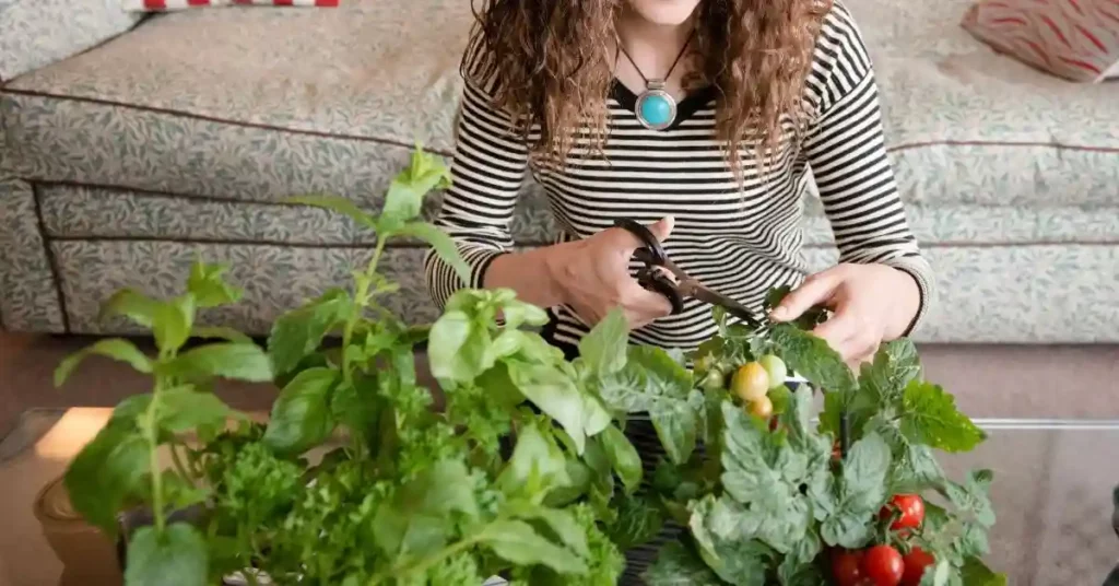 Indoor Vegetable Gardening