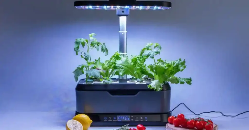 Indoor Vegetable Gardening