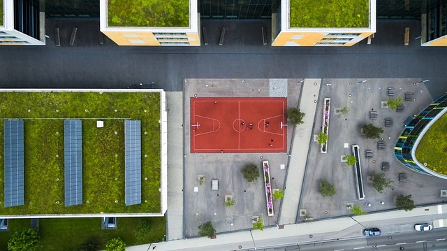 Roof garden