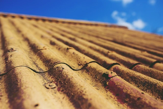 urban Gardening , roofing tiles