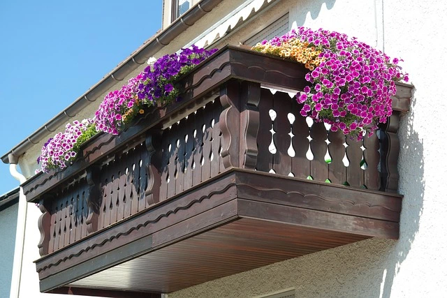 Balcony gardening