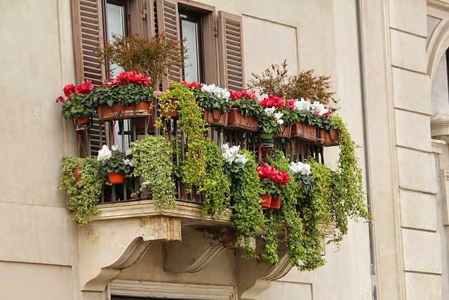 balcony garden , urban gardening