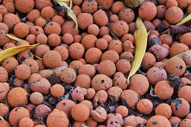 Clay Pebbles , Clay Pebbles for plants