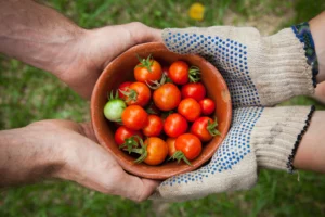 Benefits of Community Gardens