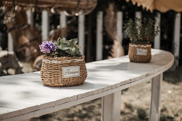 rooftop garden plants