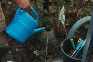 Urban Gardening