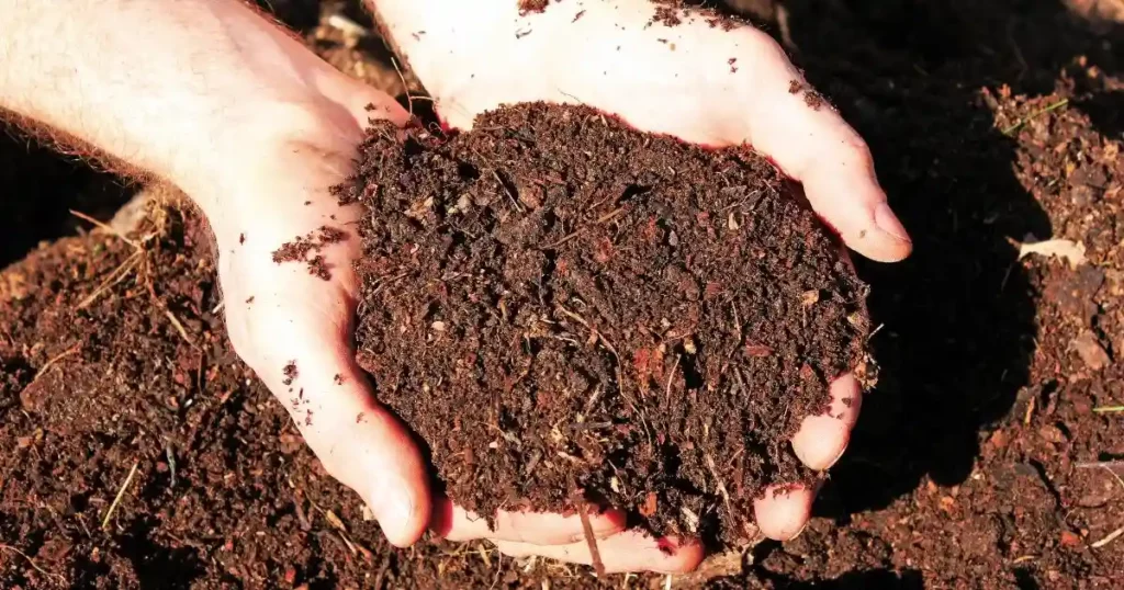 Amending Soil