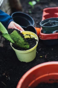 the best type of soil for growing plants