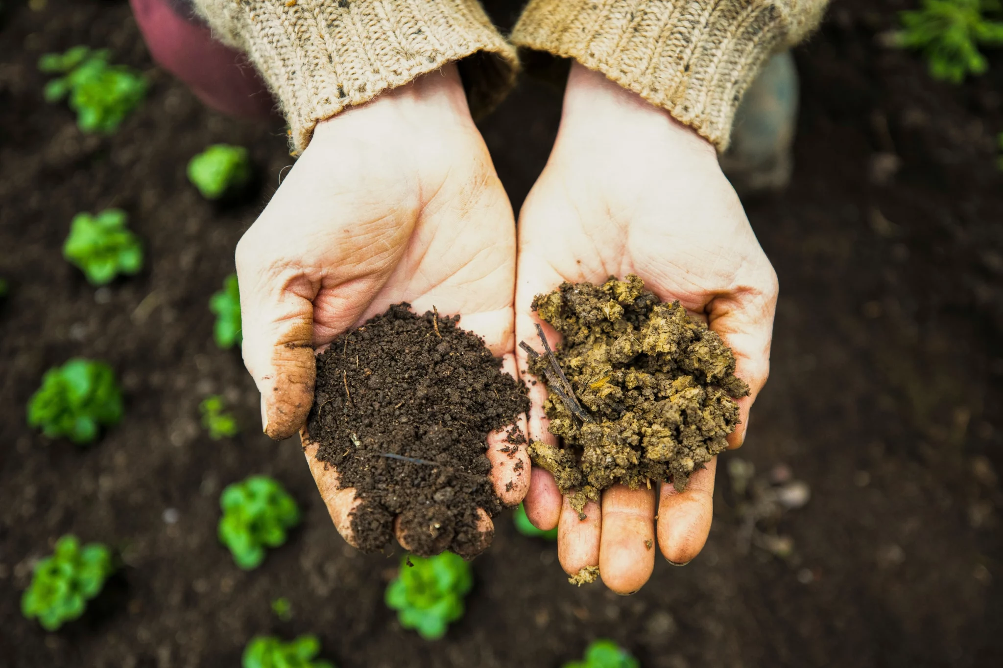 organic garden soil