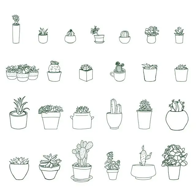 pots , types of pots 