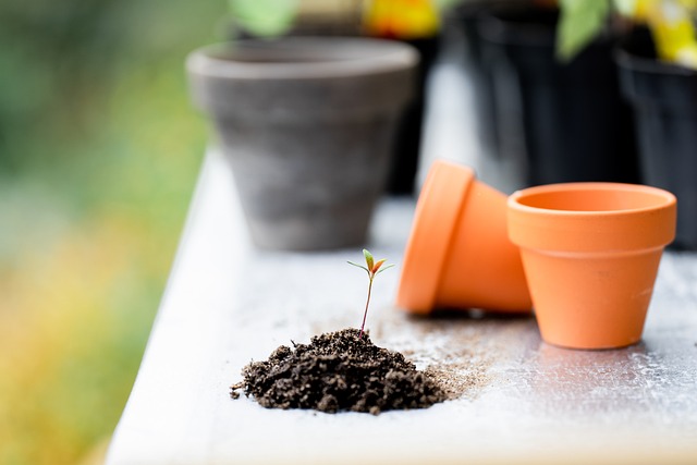 gardening soil , gardening plants