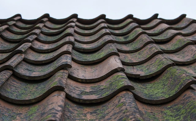 Old Roof Tiles