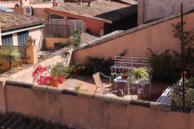 Rooftop Vegetable Garden