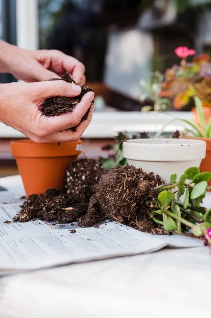 Potting Mix