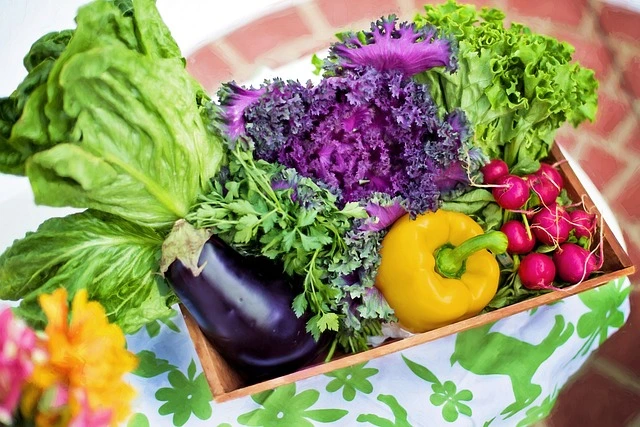 Vegetables , Rooftop Vegetable Gardening