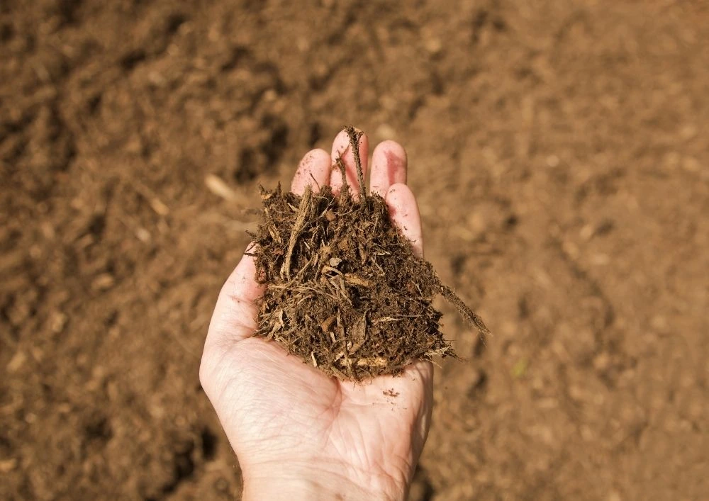 mulch for vegetable gardens