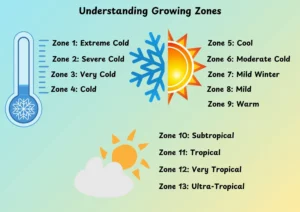 Growing Zones