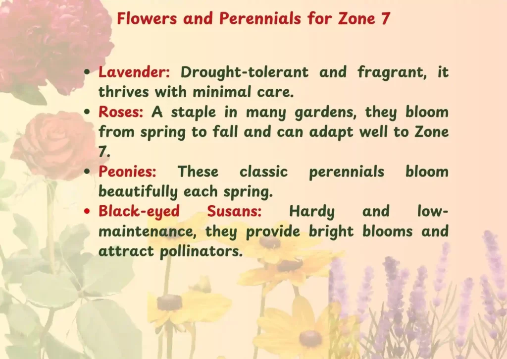 zone 7 planting schedule