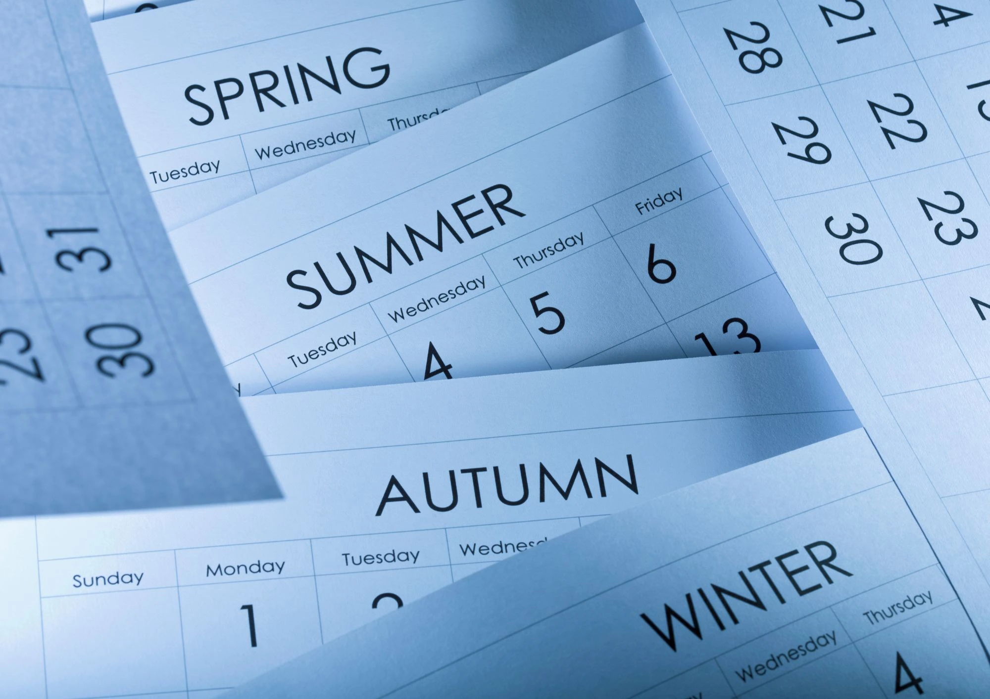 Seasonal Planning