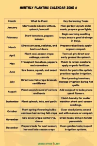 Zone 6 planting schedule