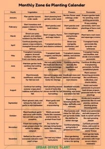 Zone 6a Planting Schedule