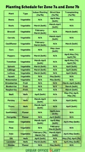 zone 7 planting schedule