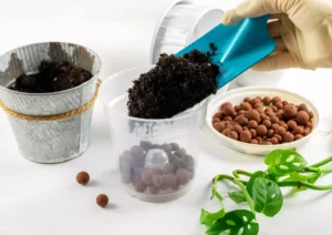 Organic Potting Soil