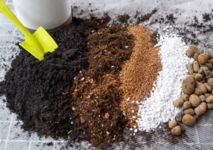 Organic Potting Soil