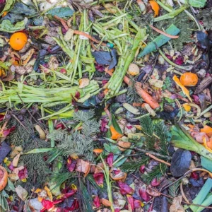 10 Benefits of Composting