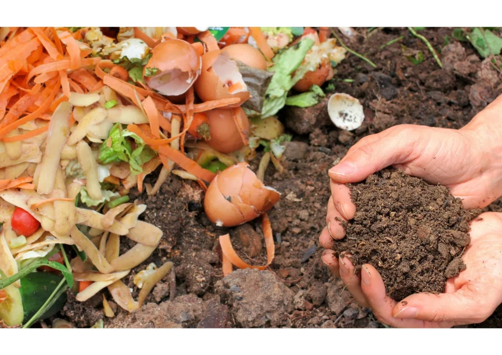 10 benefits of composting