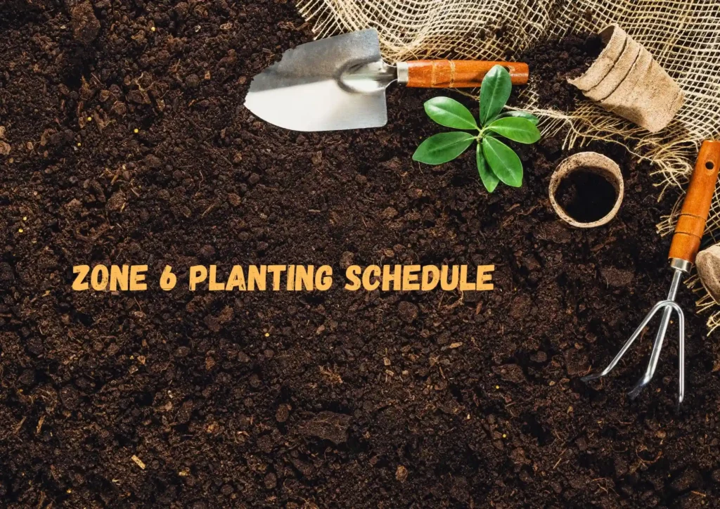 Zone 6 planting schedule