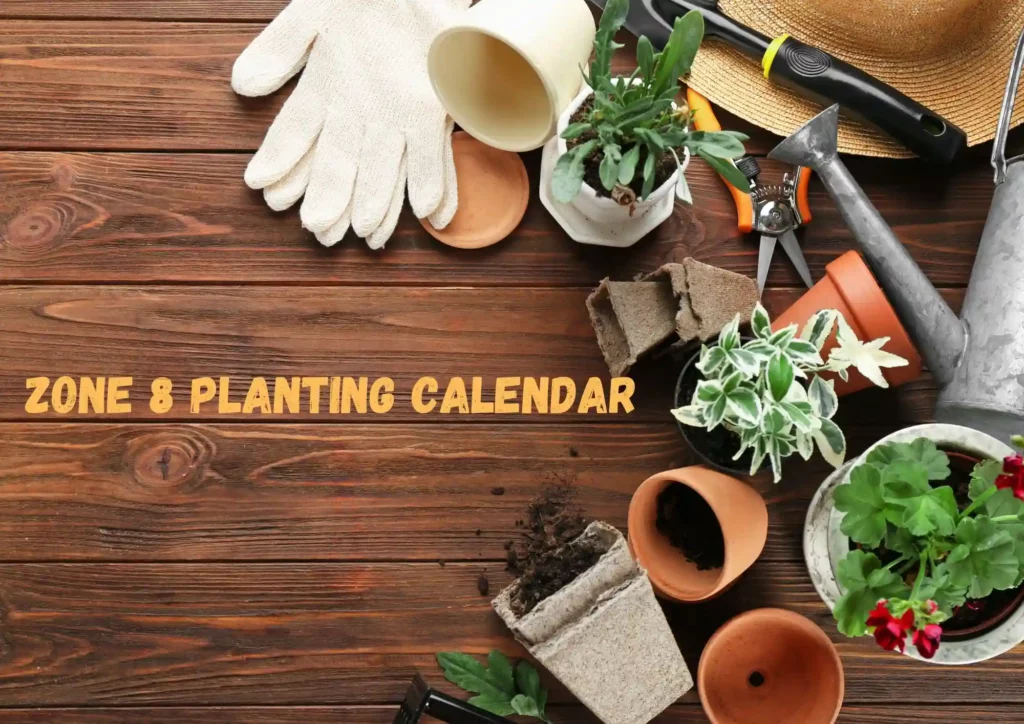 Zone 8 Planting Calendar