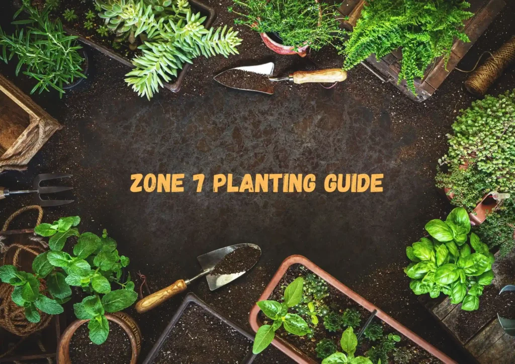 Zone 7 Planting Guide