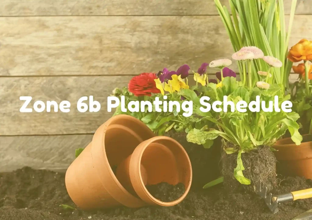 Zone 6b Planting Schedule