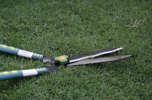 grass scissors in garden