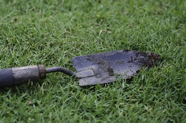 hand trowel , name of tools for gardening