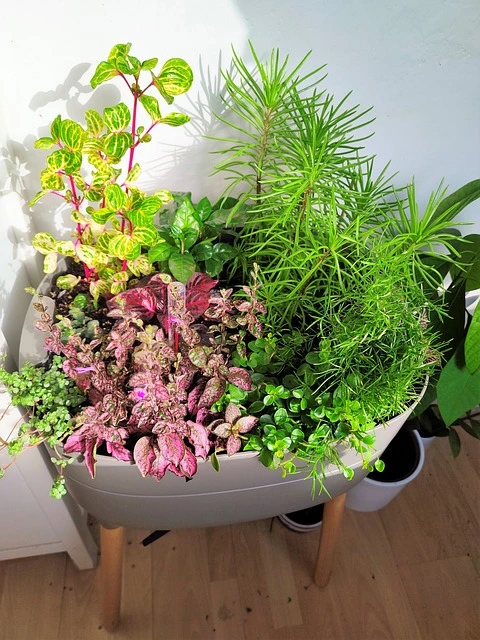 large indoor plant pots