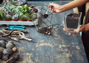 indoor potting mix