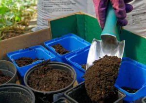 Indoor Potting Mix