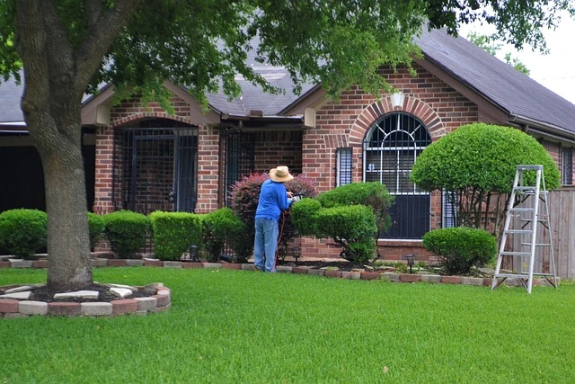 home garden , home gardening