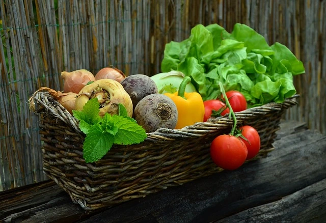 Growing Vegetables Indoors , grow vegetables indoors