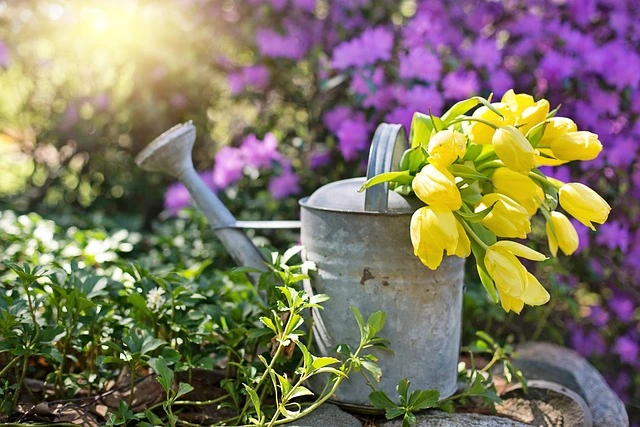 Watering Can , gardening tools names