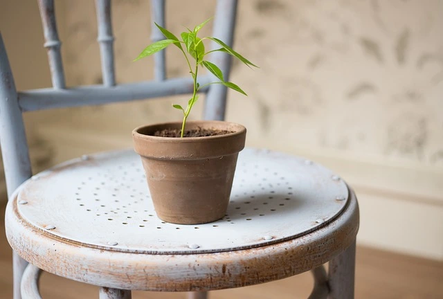 Herbs and Small Vegetables Pot size